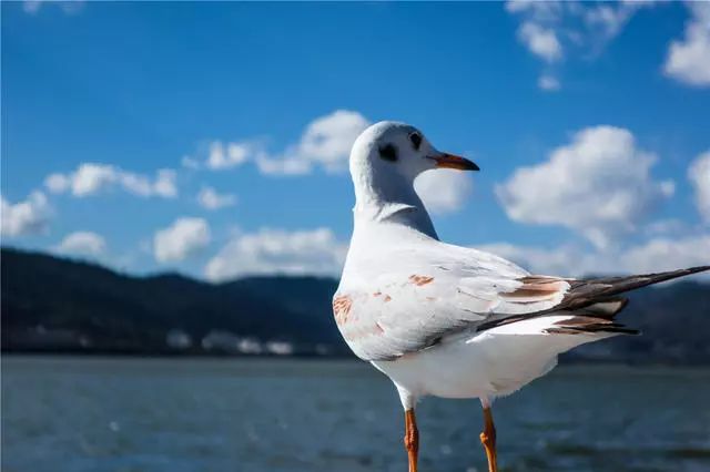昆明·will酒店，守著這份初心遇見有趣的靈魂