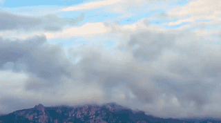 青島·町舍，風(fēng)花雪月的景卻歷久彌新！