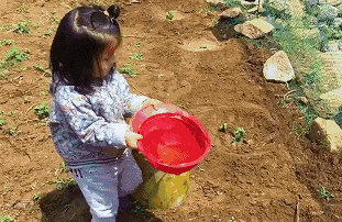 青島·町舍，風(fēng)花雪月的景卻歷久彌新！