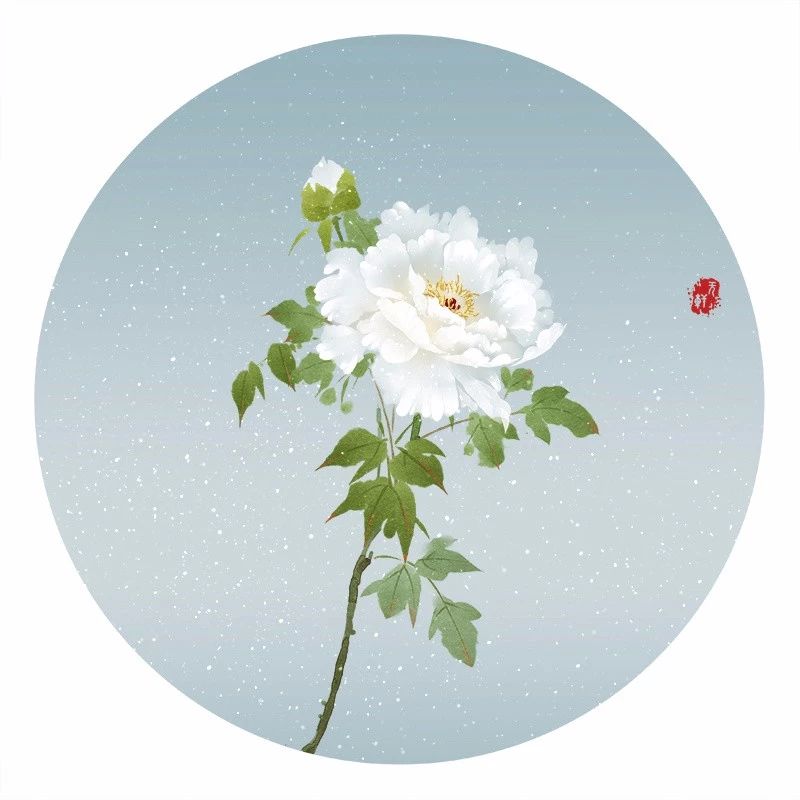 清新古風(fēng)花卉插畫(huà)，清雅如詩(shī)的插畫(huà)圖片