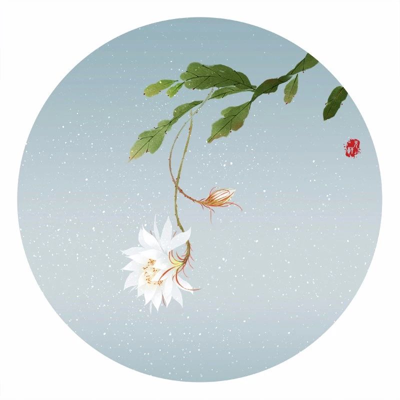 清新古風(fēng)花卉插畫(huà)，清雅如詩(shī)的插畫(huà)圖片