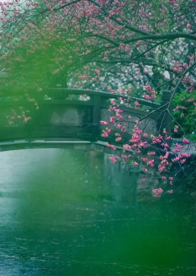 最美江南風(fēng)景：人間最憶江南春