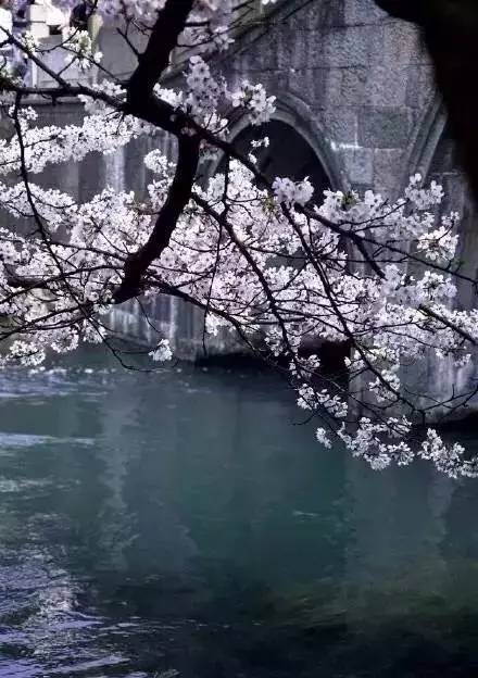 最美江南風(fēng)景：人間最憶江南春