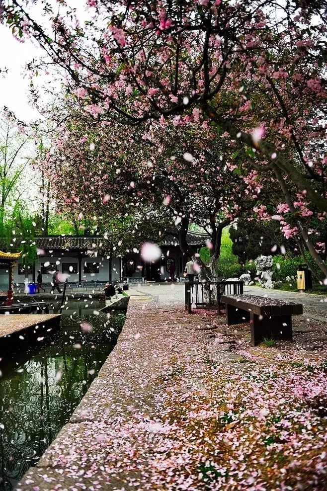 最美江南風(fēng)景：人間最憶江南春