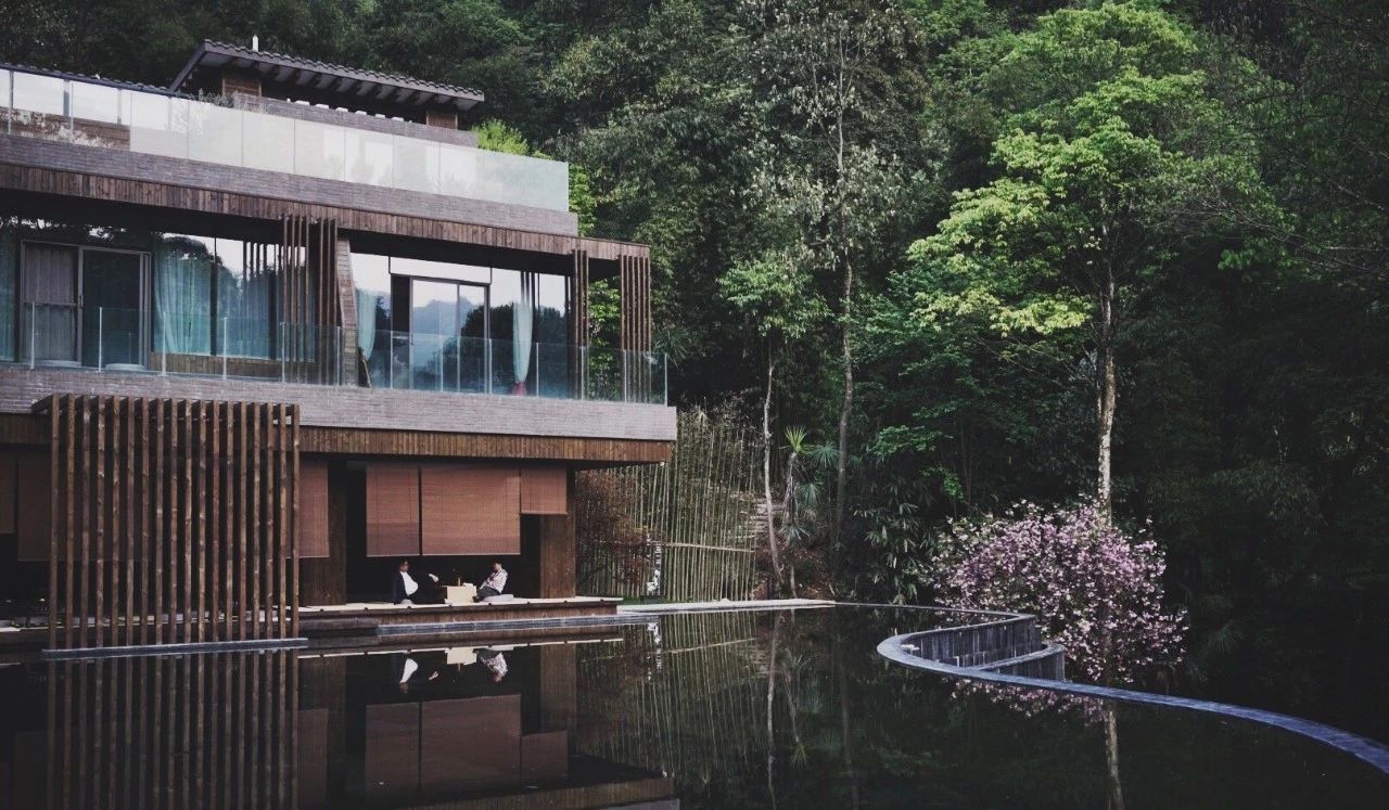 成都·坐忘森林，一宿一悟在火鍋之城住森林里