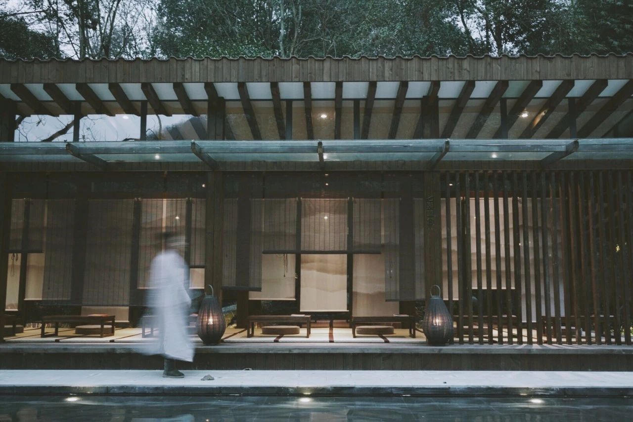 成都·坐忘森林，一宿一悟在火鍋之城住森林里