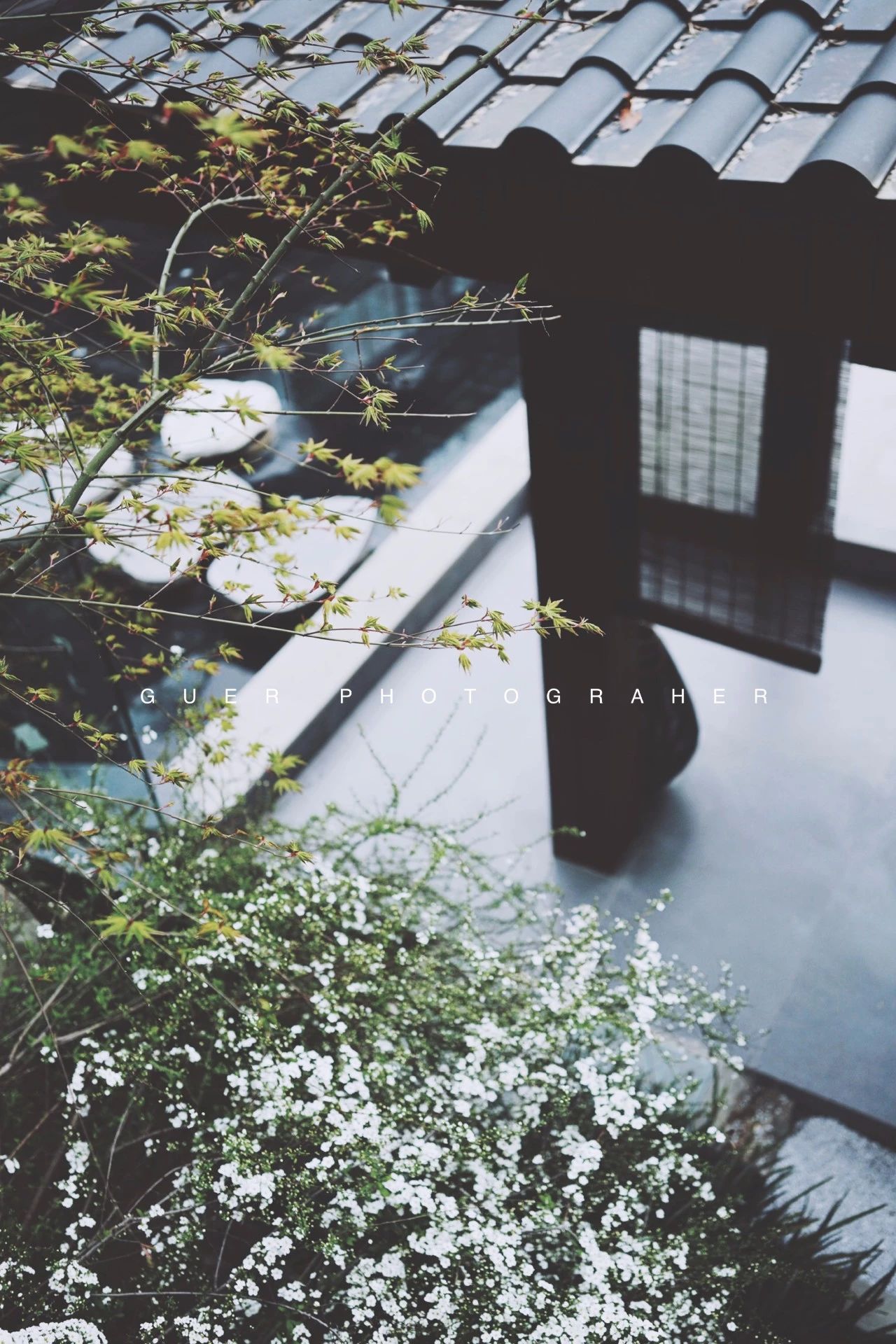 成都·坐忘森林，一宿一悟在火鍋之城住森林里