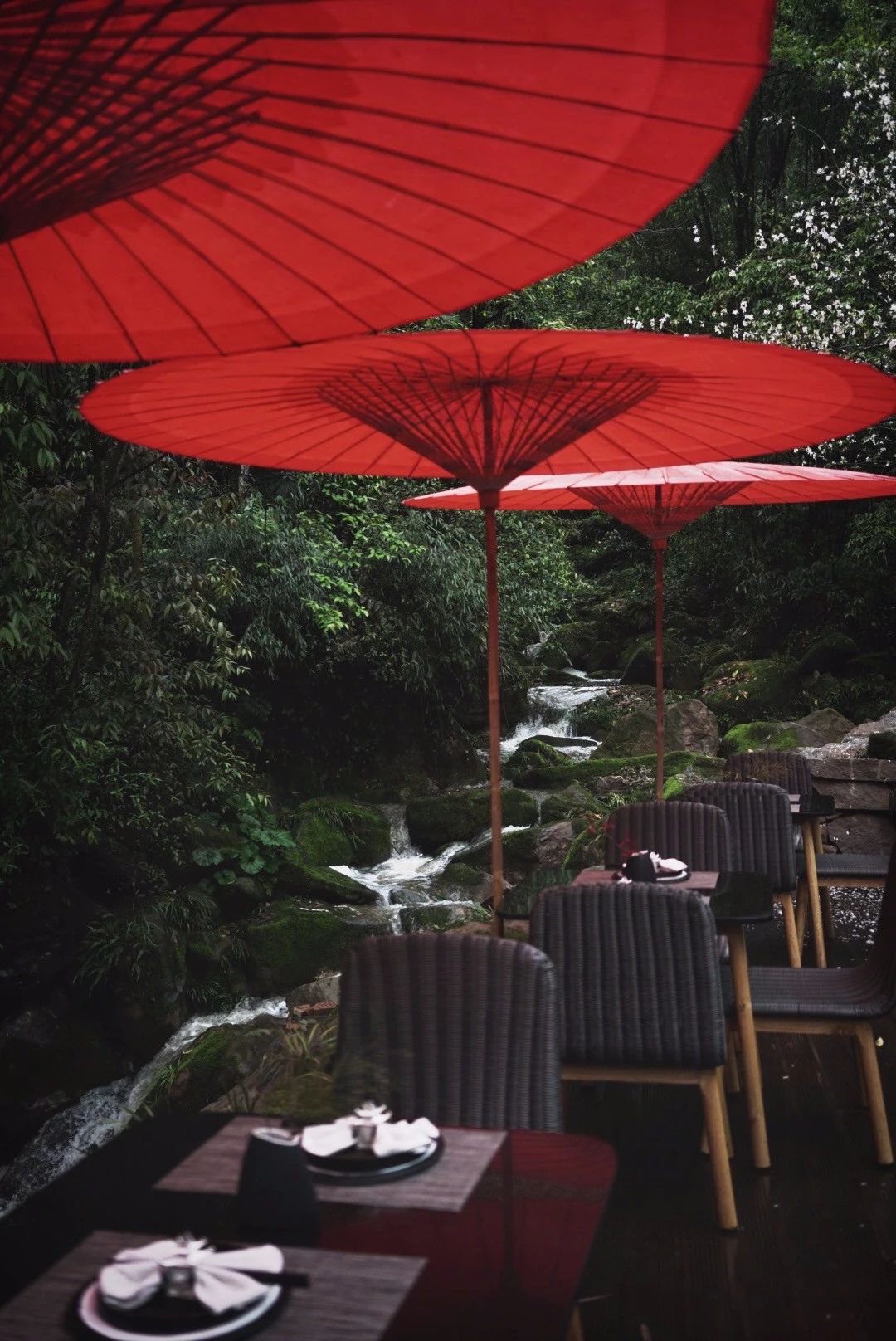 成都·坐忘森林，一宿一悟在火鍋之城住森林里