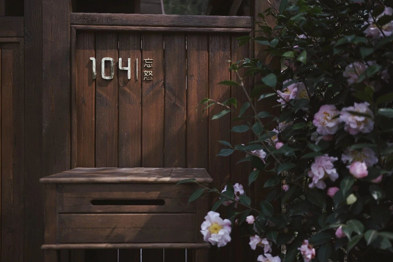 成都·坐忘森林，一宿一悟在火鍋之城住森林里