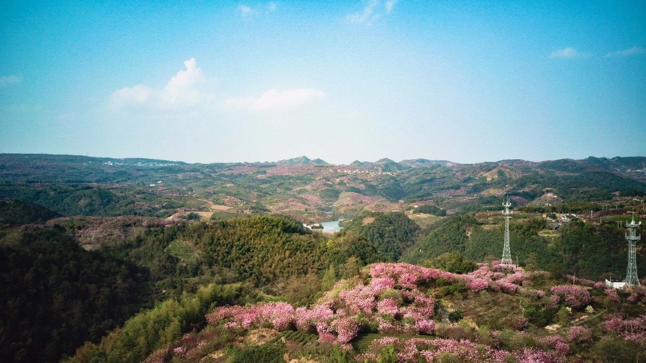 大樂之野·谷舍，遺忘的美好之地的正確打開方式