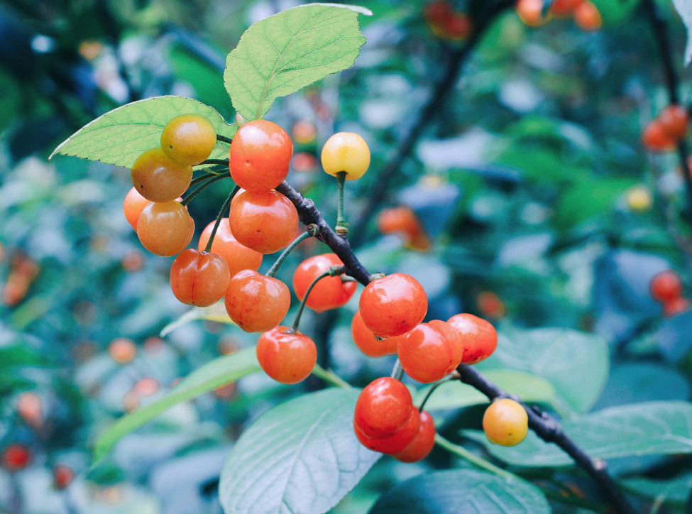 大樂之野·谷舍，遺忘的美好之地的正確打開方式