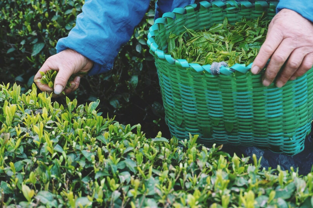 大樂之野·谷舍，遺忘的美好之地的正確打開方式