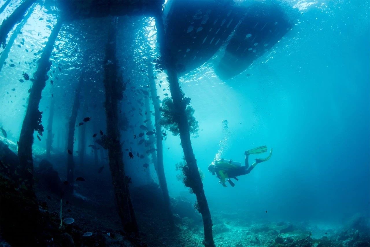 大理·沐林苑，擇一處小院賞四季明媚