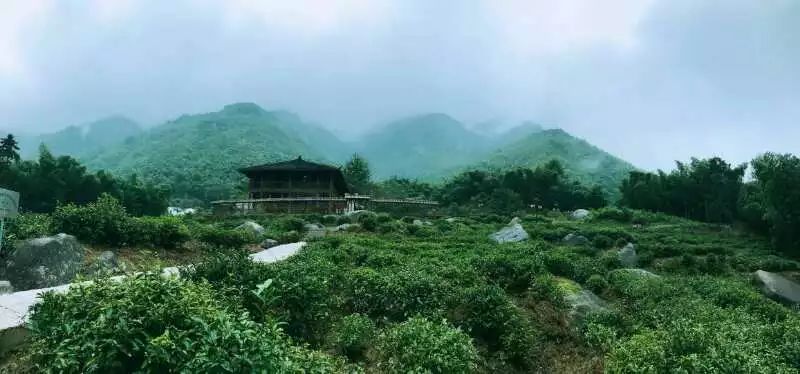 九華山·開元美途，置身俗塵外身心天地寬