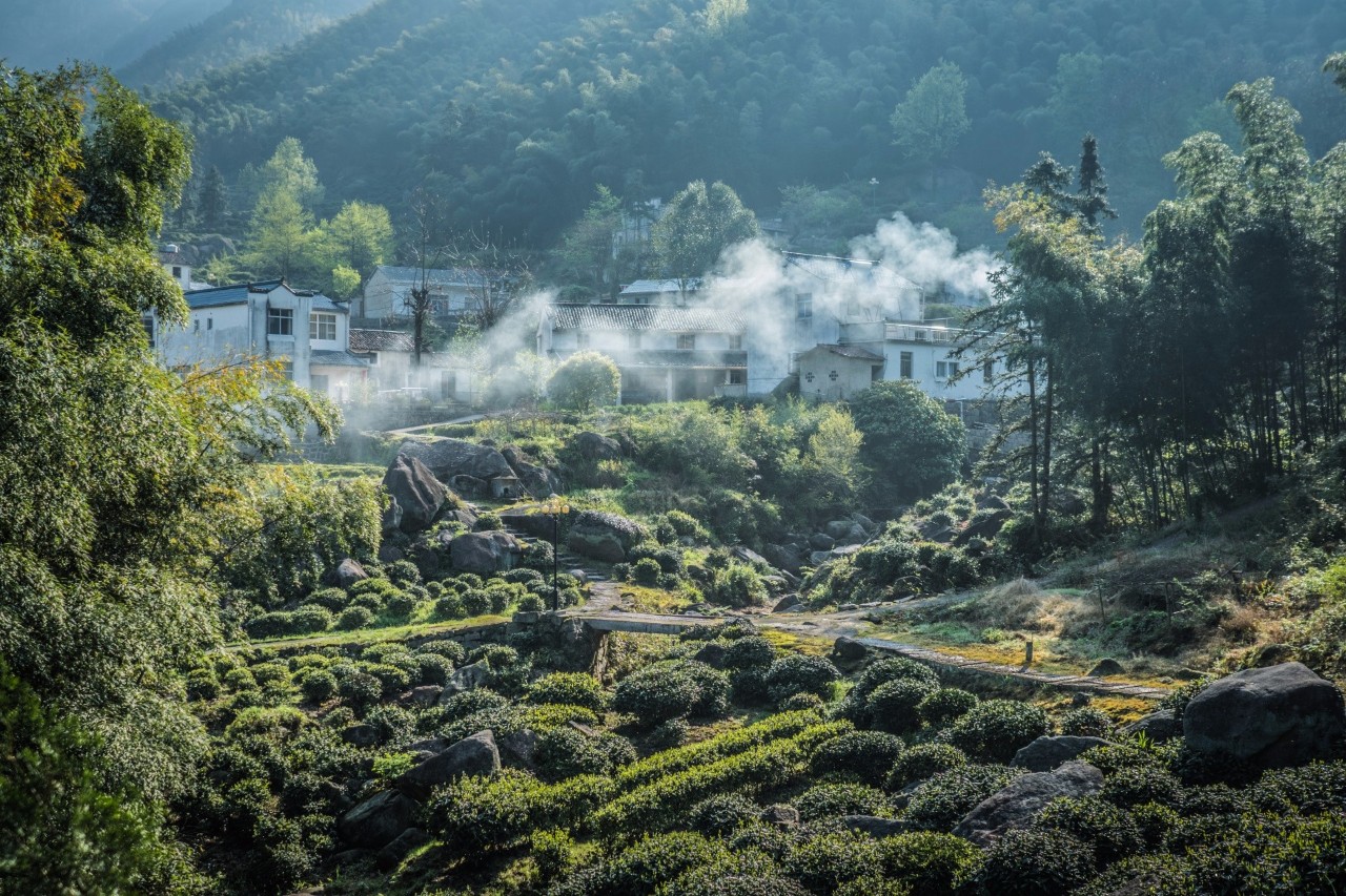 九華山·開元美途，置身俗塵外身心天地寬
