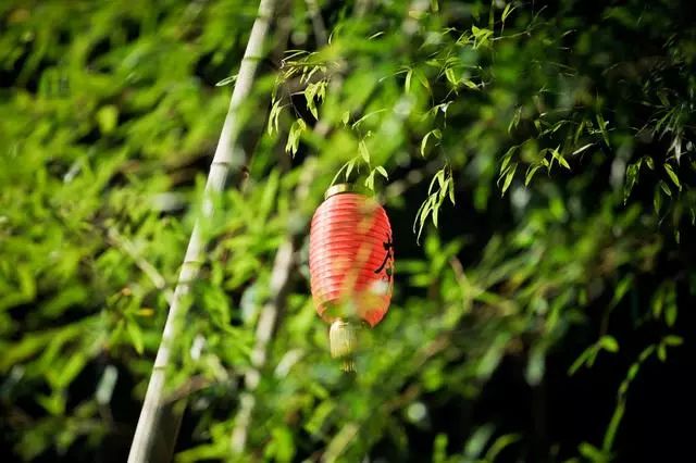 九華山·開(kāi)元美途，置身俗塵外身心天地寬