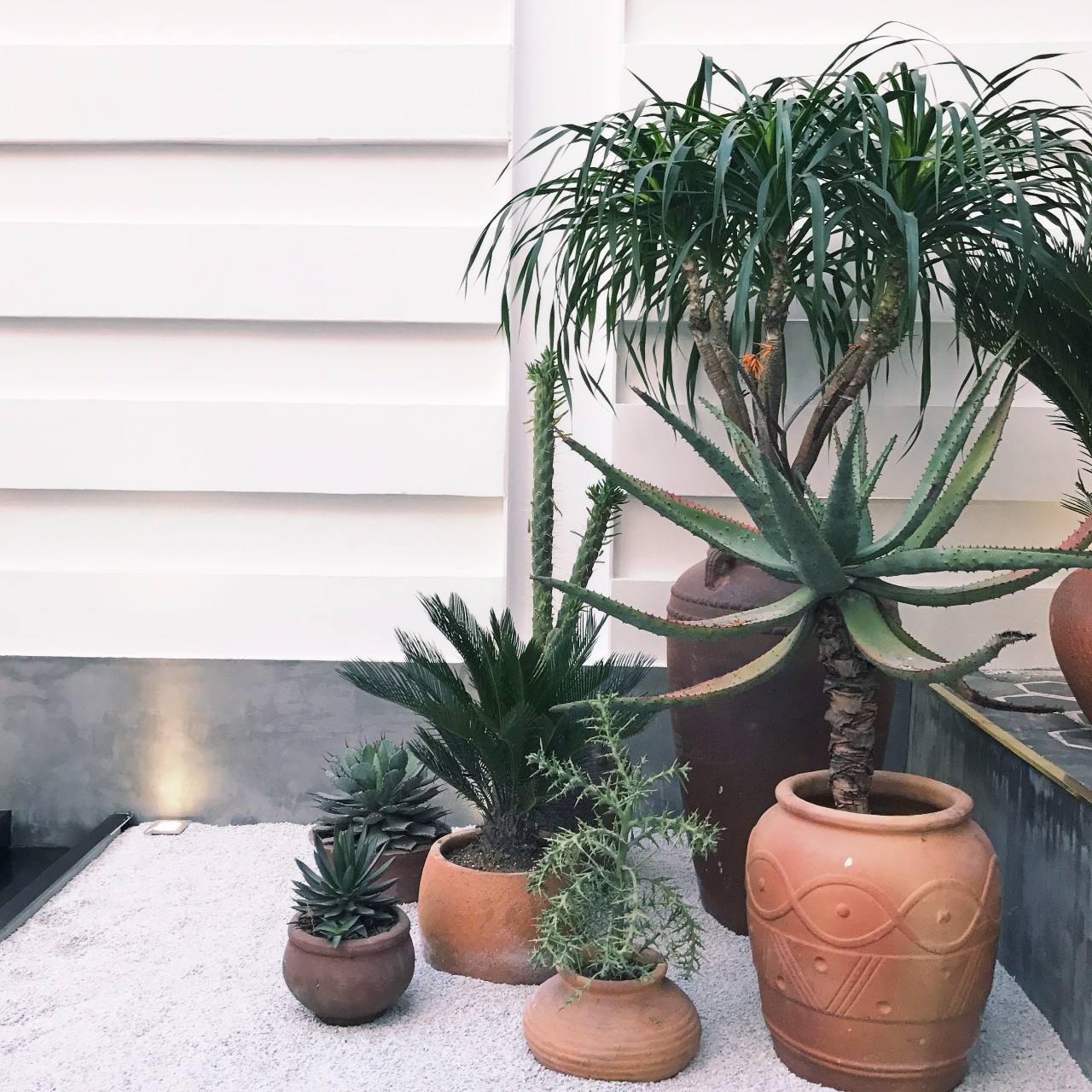 心湖·尚客堂，時光尚好待客尋來