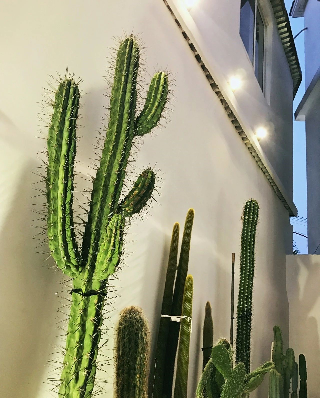 心湖·尚客堂，時光尚好待客尋來