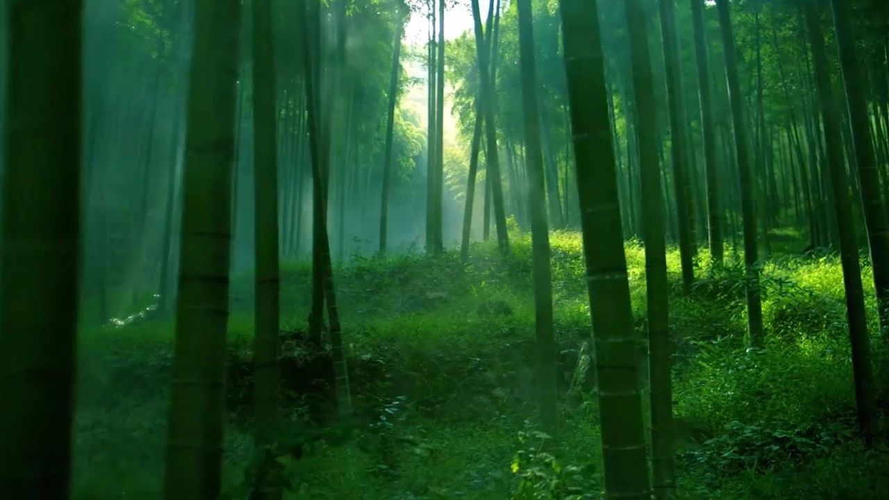 德清·莫干山諾富特酒店，找回初心永遠不晚