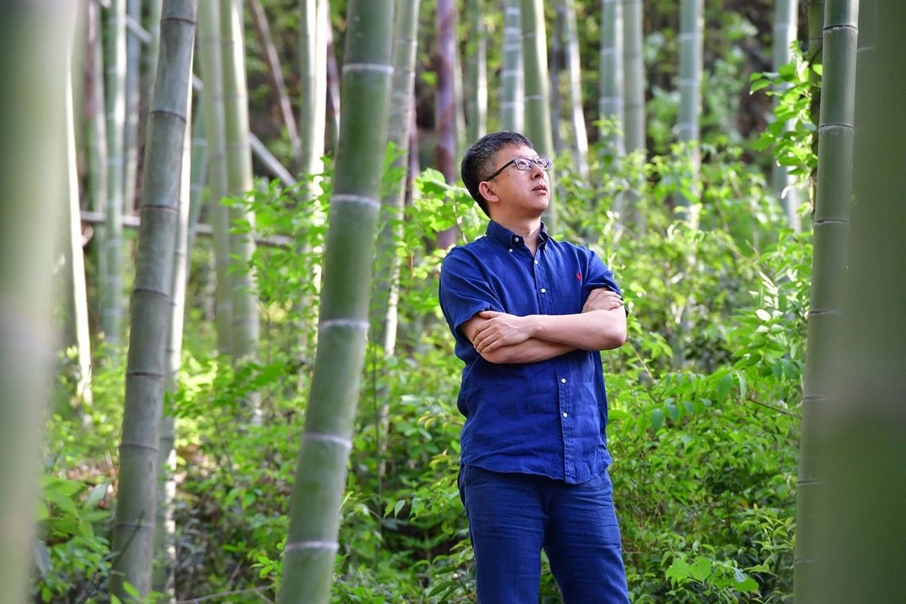 德清·莫干山諾富特酒店，找回初心永遠不晚