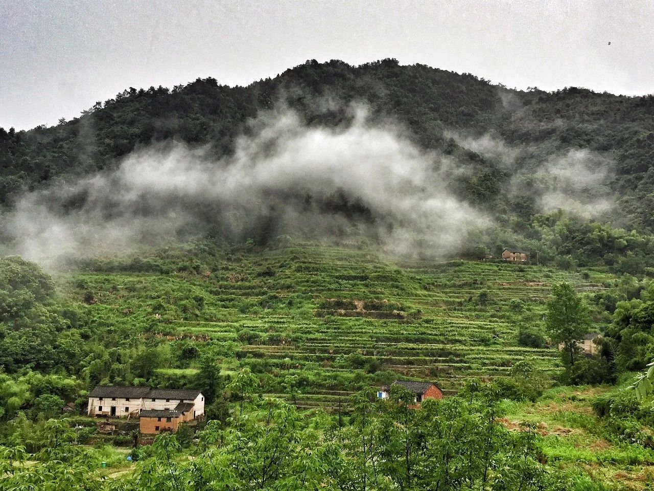 大樂之野·長丘田，許下每一個諾言都令人期待