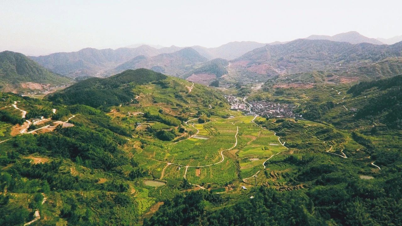 大樂之野·長丘田，許下每一個諾言都令人期待