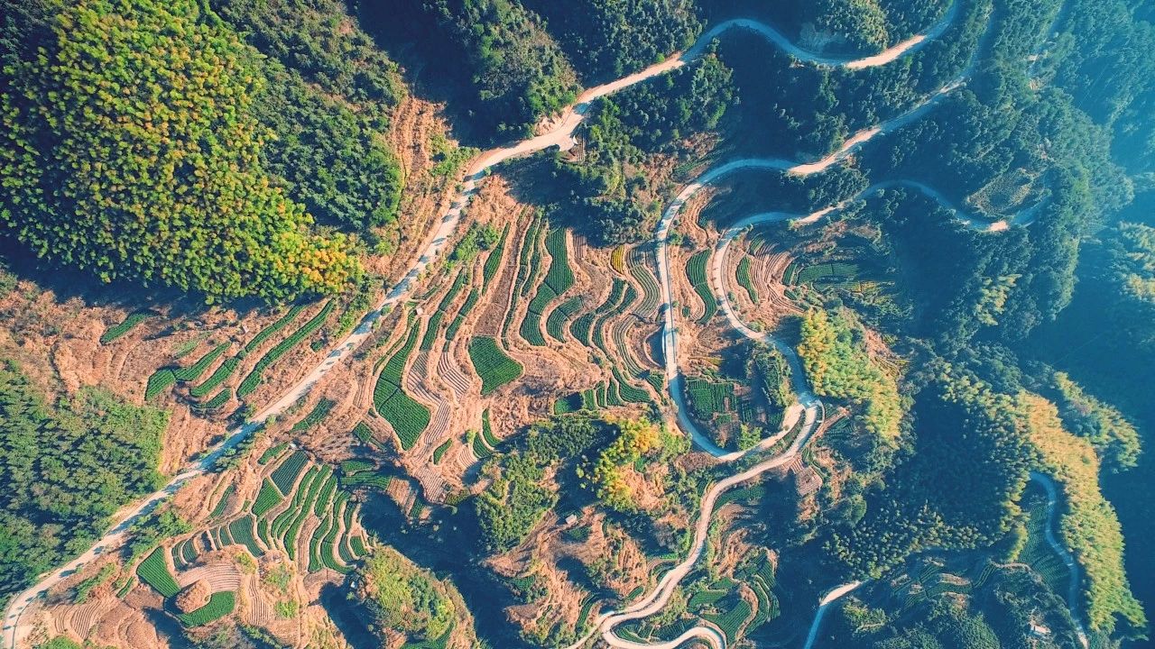 大樂(lè)之野·長(zhǎng)丘田，許下每一個(gè)諾言都令人期待