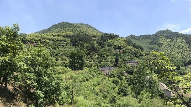 大樂之野·長(zhǎng)丘田，許下每一個(gè)諾言都令人期待