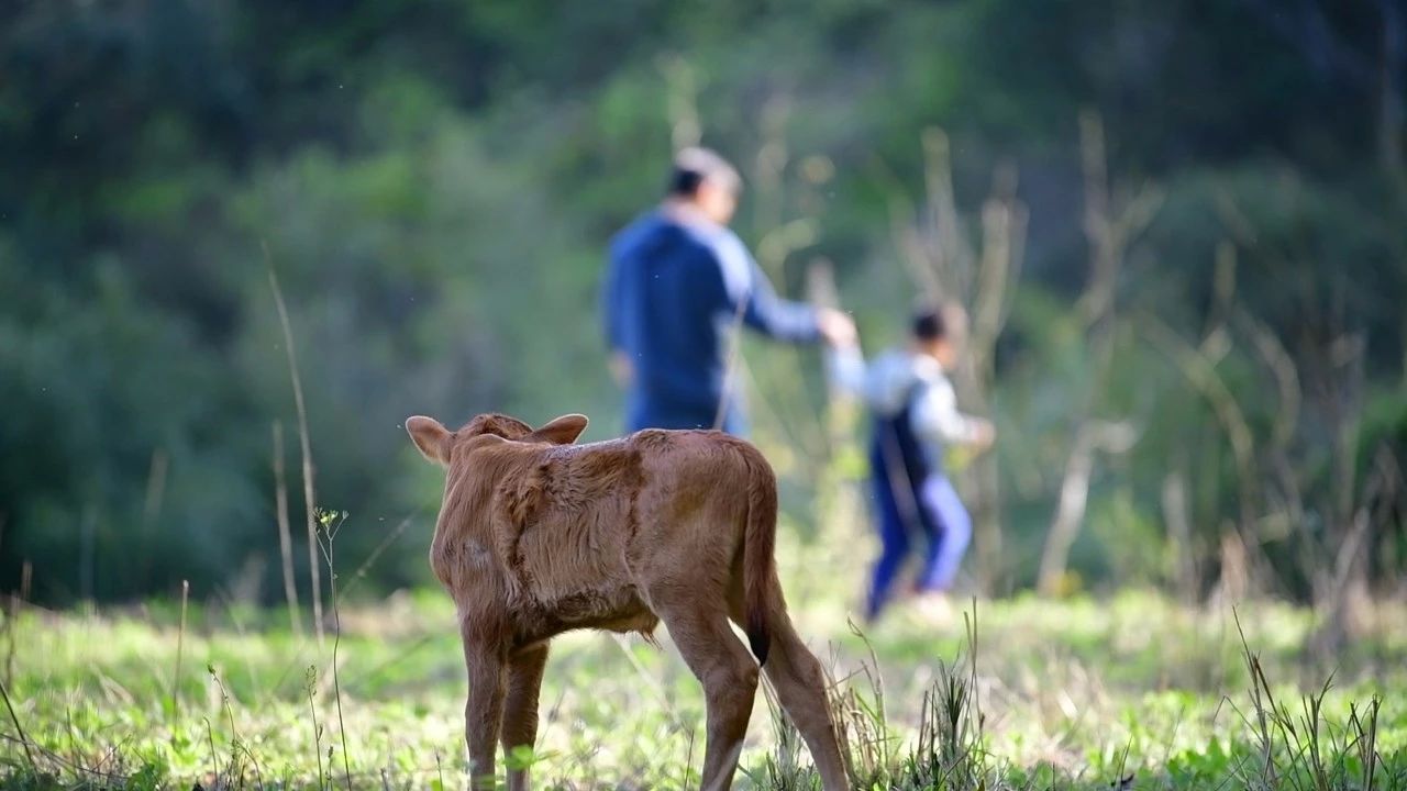 大樂之野·長(zhǎng)丘田，許下每一個(gè)諾言都令人期待