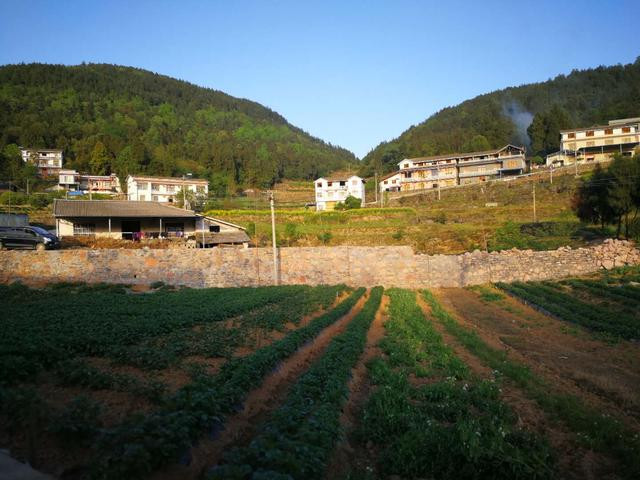 智派公寓，工作不如意的時候生活還能擁抱你！