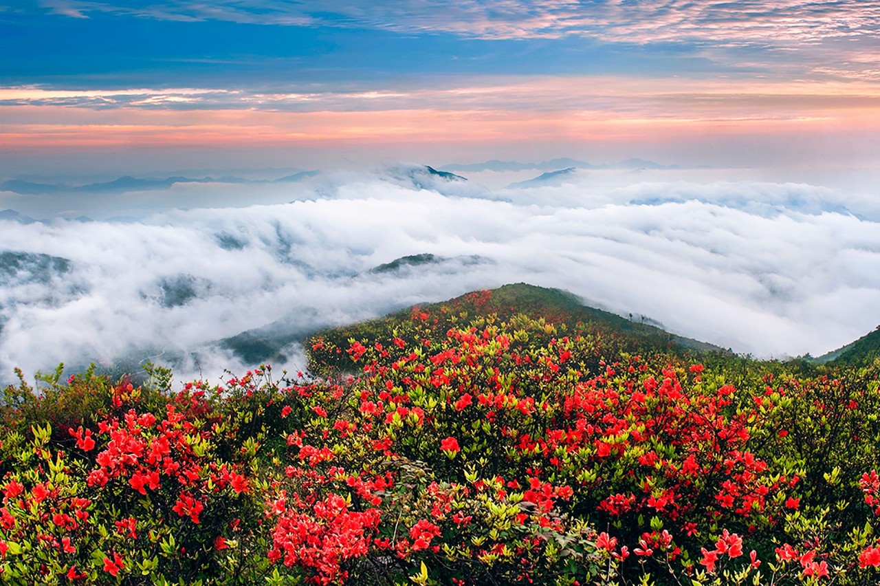 麗水云和·在田間，中國傳統(tǒng)水墨山水的意境