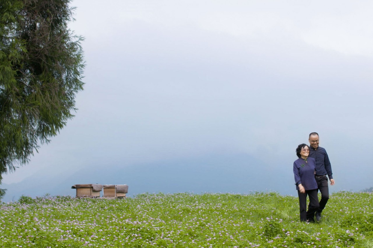 麗水云和·在田間，中國(guó)傳統(tǒng)水墨山水的意境