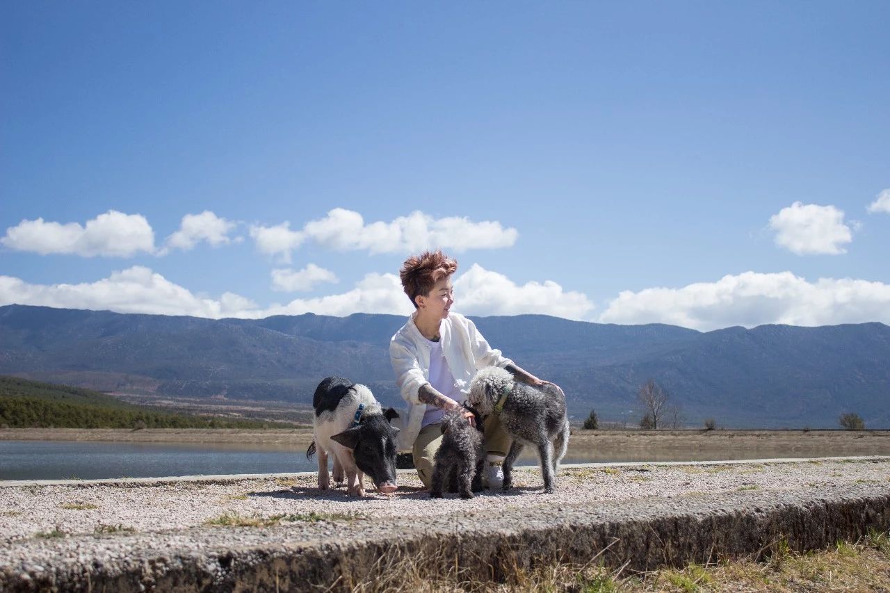 麗江·浮云社，將一切凡塵俗世都看作浮云