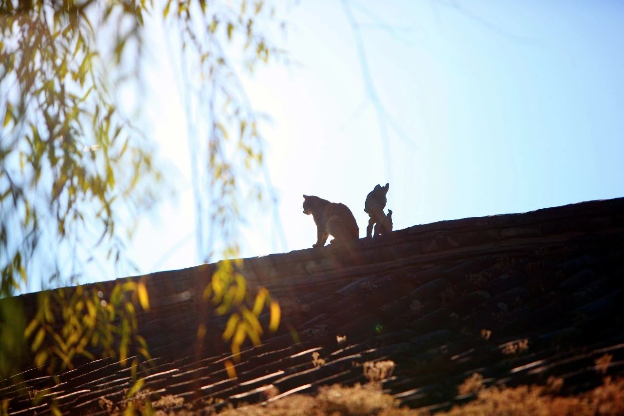 麗江·浮云社，將一切凡塵俗世都看作浮云