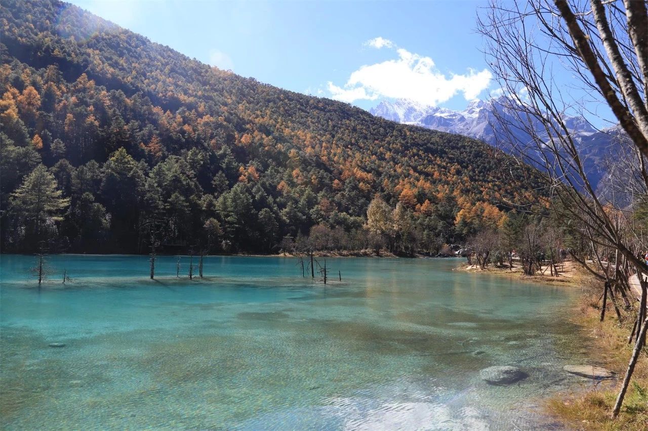 麗江·浮云社，將一切凡塵俗世都看作浮云