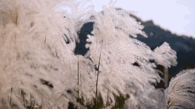 麻城·云夢如故，山里的房子就該有山里的味道