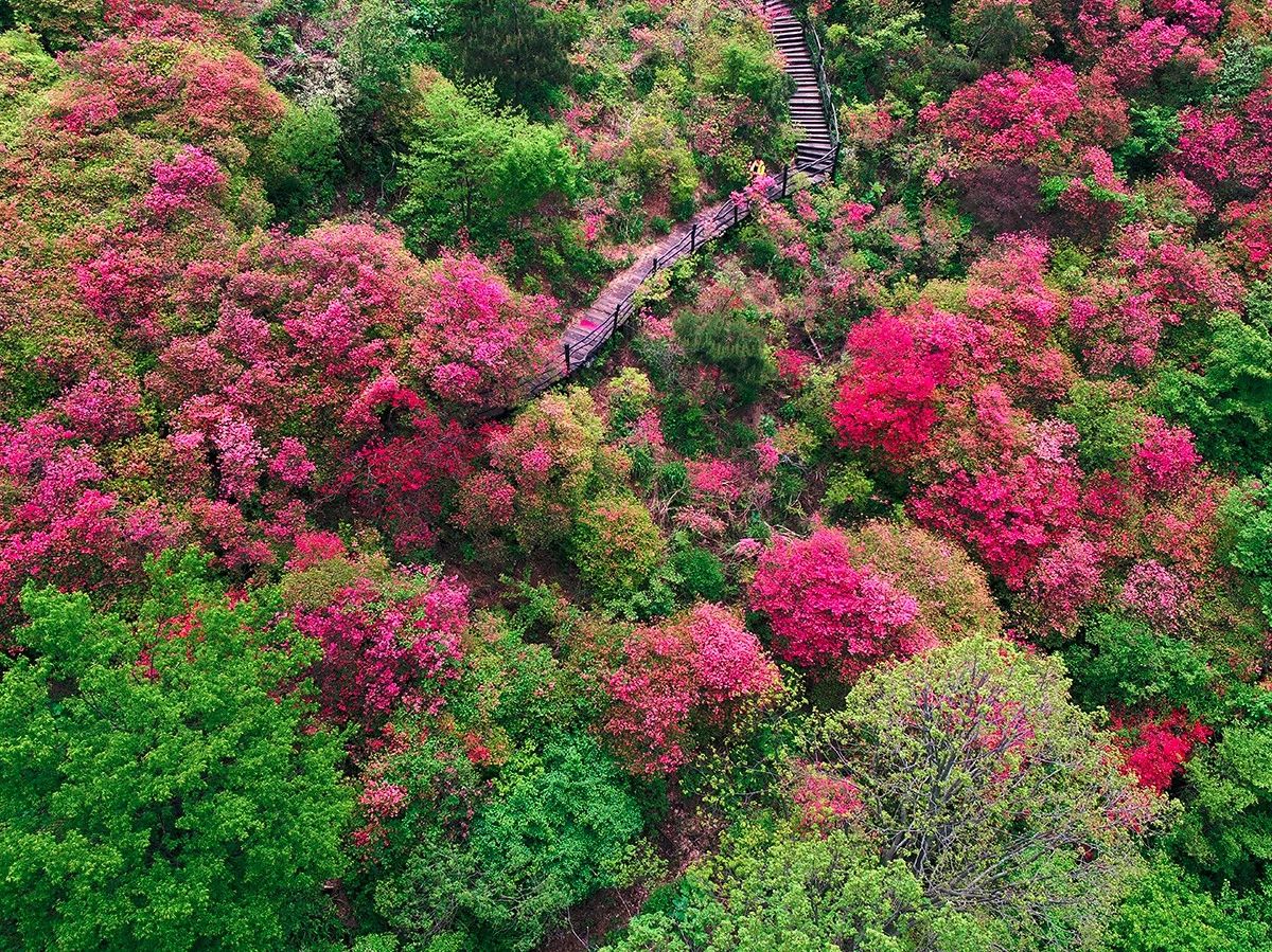 麻城·云夢如故，山里的房子就該有山里的味道