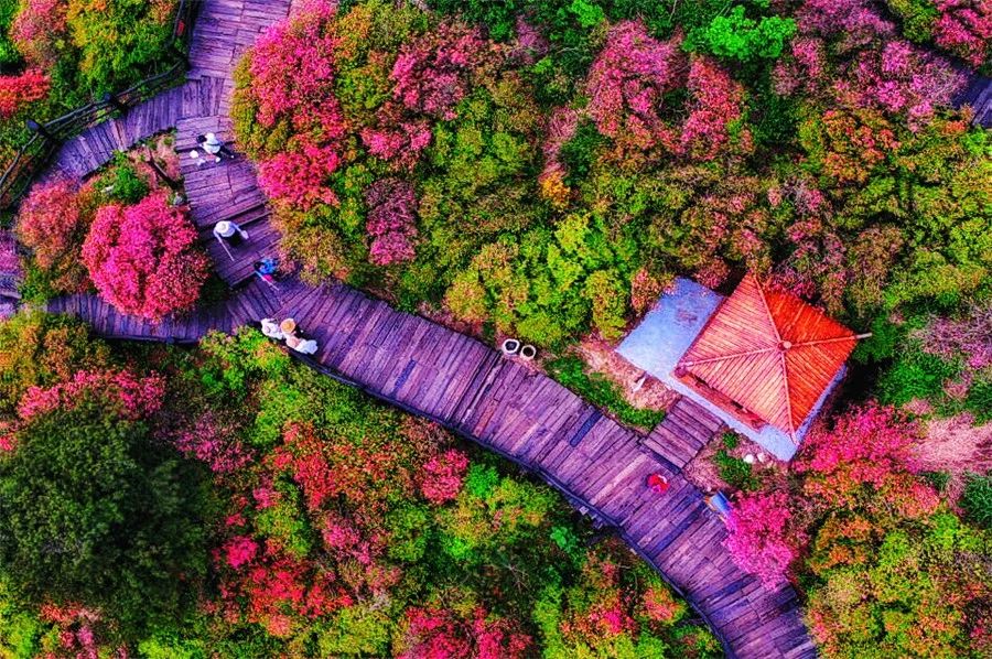 麻城·云夢如故，山里的房子就該有山里的味道