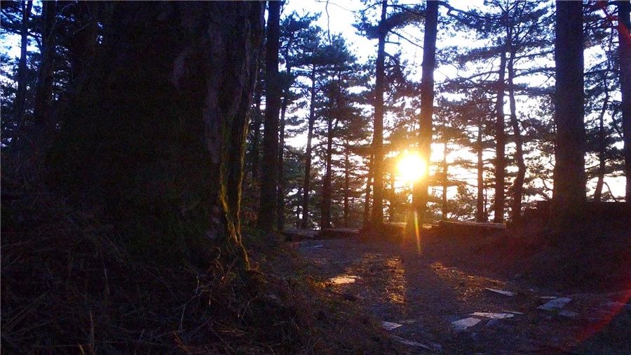 麻城·云夢(mèng)如故，山里的房子就該有山里的味道