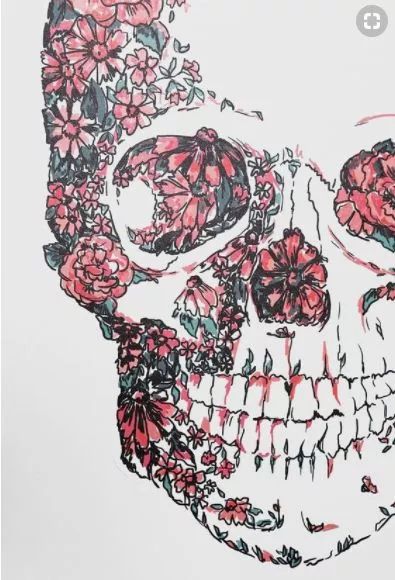 一組手繪骷髏頭插畫，猶如帶刺的玫瑰！