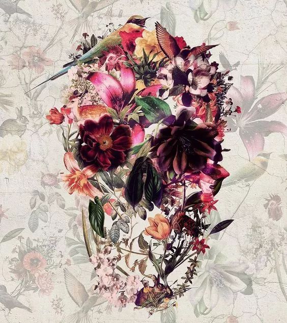 一組手繪骷髏頭插畫，猶如帶刺的玫瑰！