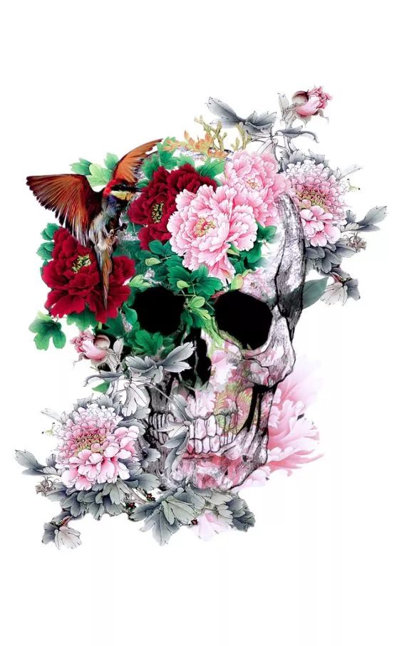 一組手繪骷髏頭插畫，猶如帶刺的玫瑰！