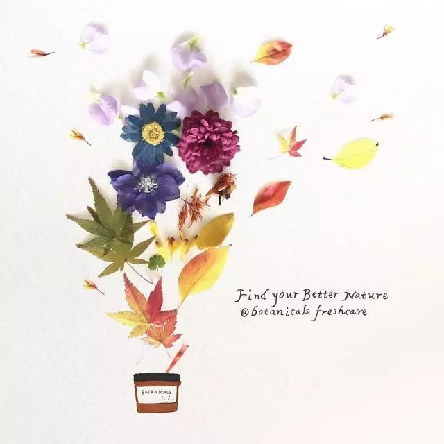 一組創(chuàng)意花瓣插畫，小清新唯美手繪插畫