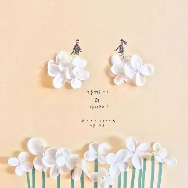 一組創(chuàng)意花瓣插畫，小清新唯美手繪插畫