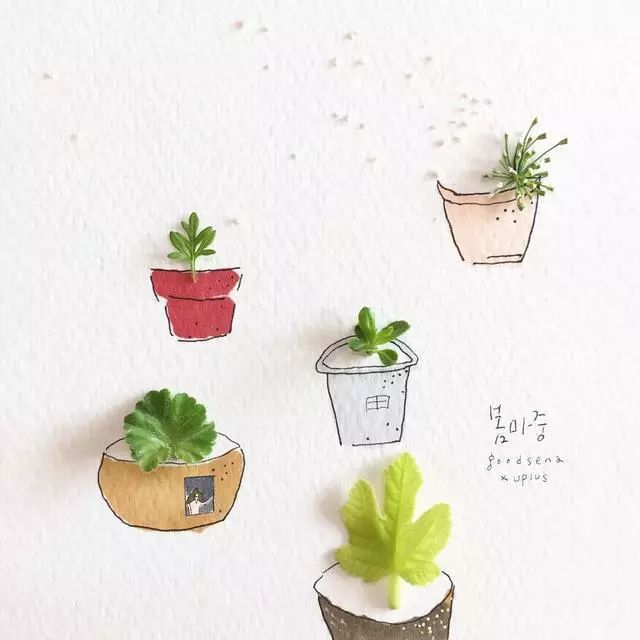 一組創(chuàng)意花瓣插畫，小清新唯美手繪插畫