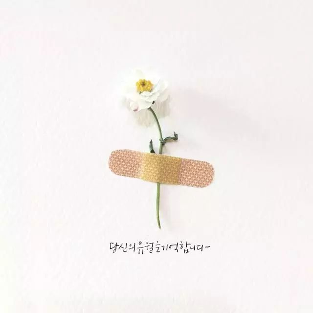 一組創(chuàng)意花瓣插畫，小清新唯美手繪插畫