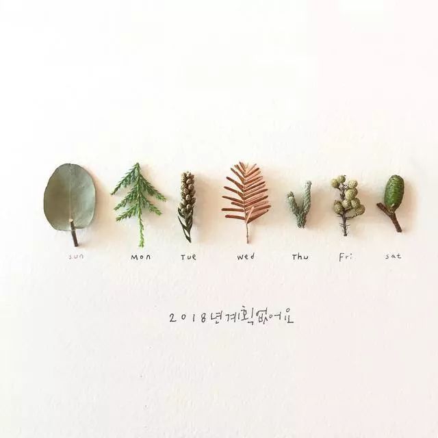 一組創(chuàng)意花瓣插畫，小清新唯美手繪插畫