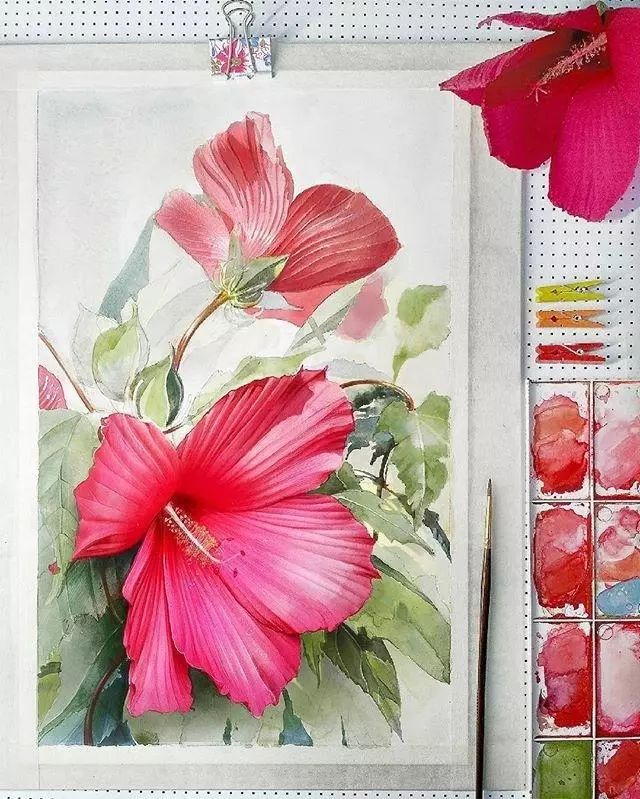 超逼真的水彩手繪插畫，小清新植物插畫圖片