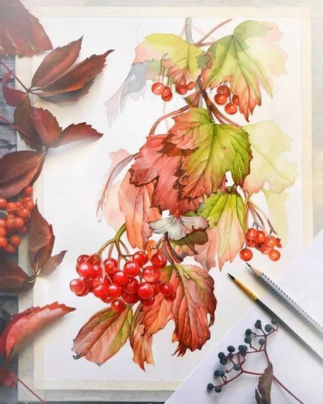 超逼真的水彩手繪插畫，小清新植物插畫圖片