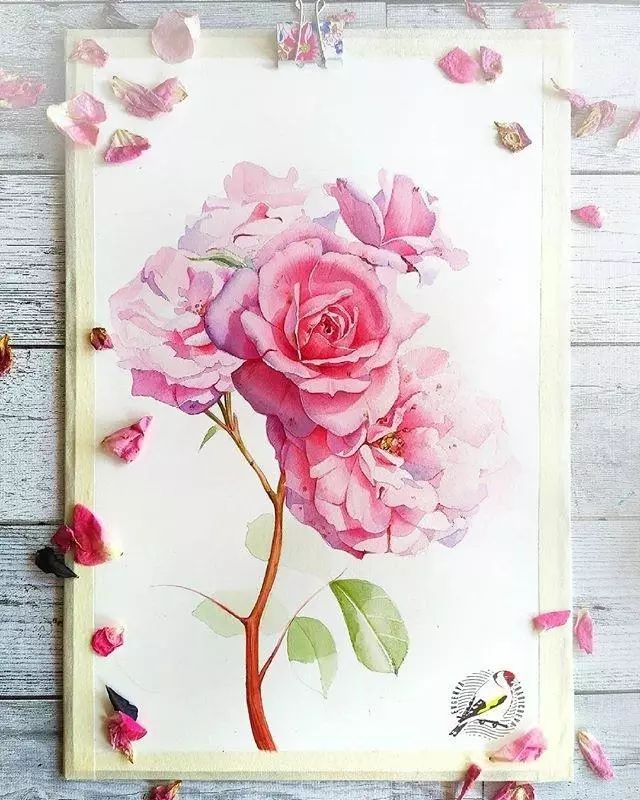 超逼真的水彩手繪插畫，小清新植物插畫圖片